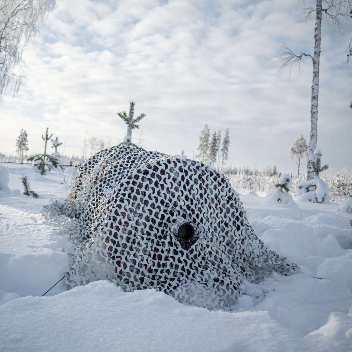 Buteo Photo Gear 3D-Blätter Tarnnetz Schnee 2,4x3 m
