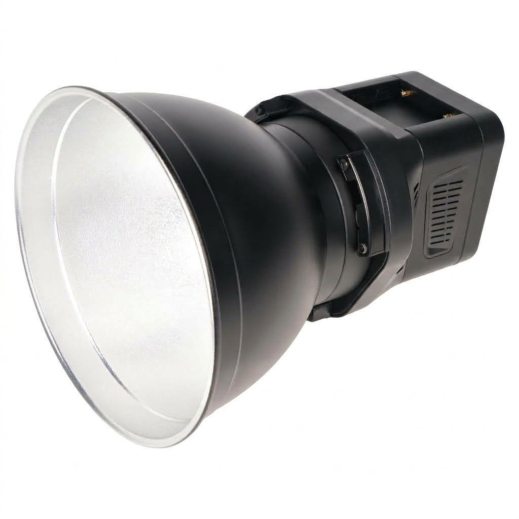 Sirui Bi-Color LED Spot Lampe C60B